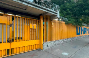 Suspenden clases presenciales los planteles CCH de la UNAM por plaga de chinches