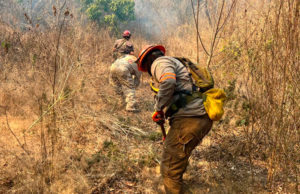 Brigadas de Protección Civil Municipal inician labores para combatir el incendio forestal en la Reserva del Cerro Mactumatzá