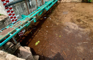 Presidente de Tuxtla invita a cuidar el agua en la ciudad