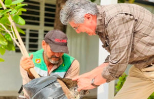 Tuxtla Gutiérrez florece con el Programa Municipal de Reforestación «Plantando Futuro