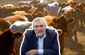 Adán Augusto es “ganadero” apenas desde hace un año y tres meses: heredó ranchos de su hermana Rosalinda