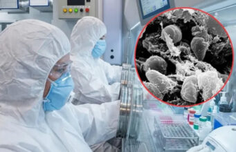 OMS pide a Rusia información sobre caso de peste neumónica